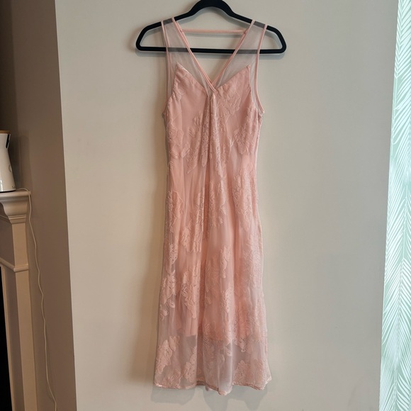 Spirit of Grace Pink Velvet Burnout Dress XS Balletcore Sheer Fairycore Mesh - Picture 10 of 12